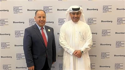 وزير المالية: مصر أصبحت أرضًا خصبة جاذبة ومحفزة للاستثمارات فى مختلف المجالات