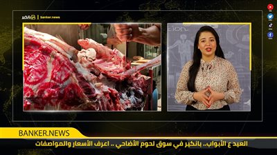 العيد ع الأبواب.. بانكير في سوق لحوم الأضاحي .. اعرف الأسعار والمواصفات
