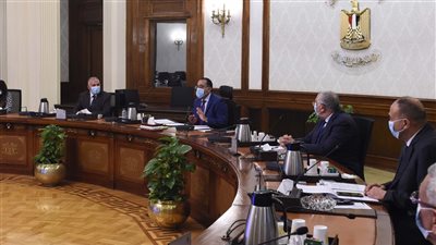 رئيس الوزراء يتابع الموقف التنفيذي لتطوير بحيرة المنزلة ومحيطها