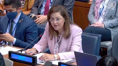 التخطيط: تشكيل لجان المبادرة الوطنية للمشروعات الخضراء الذكية بالمحافظات