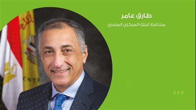 طارق عامر: لاغنى عن البنوك في تحقيق أهداف التنمية المستدامة