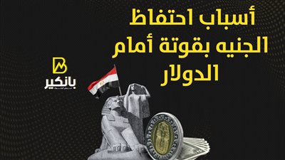 أسباب احتفاظ الجنيه بقوته أمام الدولار | إنفوجراف 