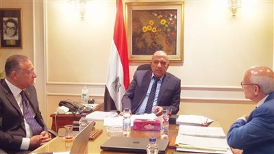 وزير قطاع الأعمال: الأمونيا الخضراء مستقبل صناعة الأسمدة في مصر ولتعزيز الصادرات