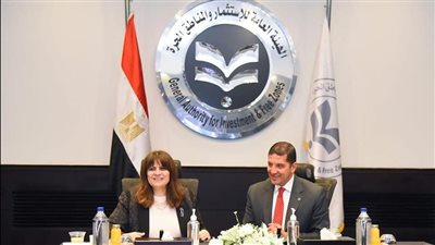 تفاصيل إنشاء شركة مساهمة للمصريين بالخارج وطرح أسهم لهم بالمشروعات القومية