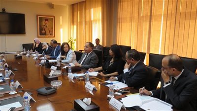 معيط: إنشاء شركة مساهمة للمصريين بالخارج لتعظيم دورهم في تعزيز الاستثمار