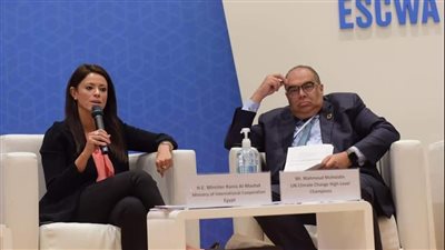 المشاط: 3 مؤسسات تمويل دولية تتولى محاور برنامج 