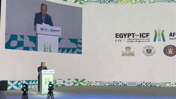 محمد معيط وزير المالية