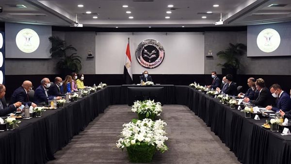 لقاء رئيس الوزراء