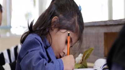 الدفع أونلاين.. مصروفات المدراس الرسمية 2025