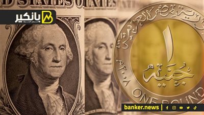 الجنيه يرتفع 6% أمام الدولار منذ قرار تحرير سعر الصرف