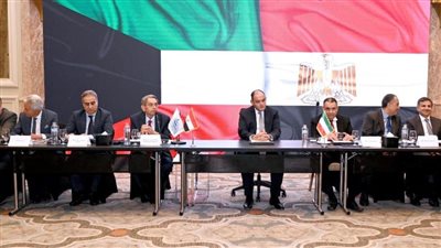 وزير التجارة: نسعى لتعزيز الشراكة الاستثمارية بين القطاع الخاص المصري والكويتي