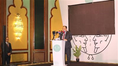 وزير المالية:العديد من الشركات الأجنبية بدأت تتخذ مصر «قاعدة إقليمية» لأعمالها