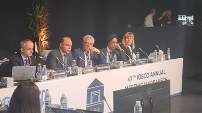 فريد: تطوير الأطر التنظيمية للتمويل المستدام يعزز قدرات القطاع المالي غير المصرفي