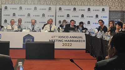 فريد: استقرار وتنمية الأسواق المالية يتطلب بناء الصلابة في مواجهة الصدمات