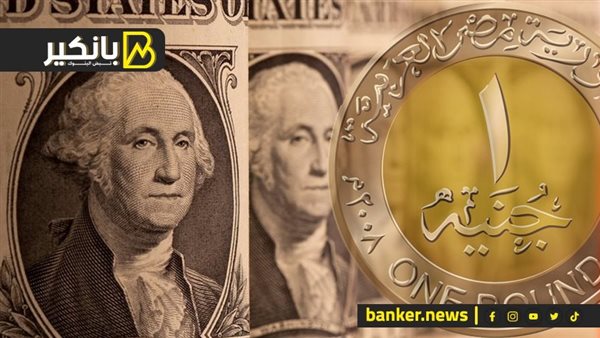 الجنيه المصري والدولار