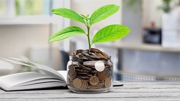 الاستثمار في الدخل