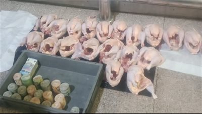 دولارات بالفراخ.. احباط أغرب محاولة لتهريب العملة الصعبة بمطار القاهرة