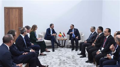 مدبولى: مصر لديها فرص واعدة في مجالات الهيدروجين الأخضر والطاقة المتجددة