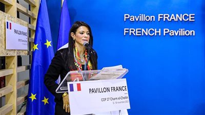 المشاط: حشد آليات مختلفة للتمويل لتحفيز استثمارات القطاع الخاص بالاقتصاد الأخضر