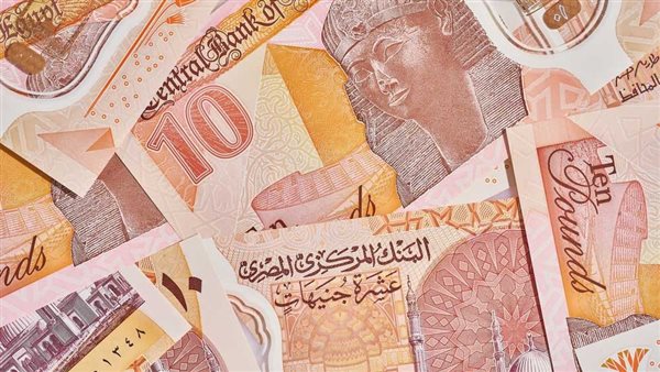 العملة المحلية