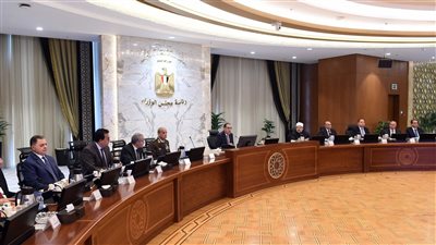 برئاسة السيسي وعضوية محافظ البنك المركزي.. تشكيل المجلس الأعلى للاستثمار