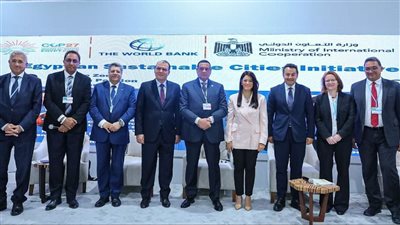 التعاون الدولي: التنسيق بين شركاء التنمية لتعزيز المبادرات الهادفة للتحول الأخضر