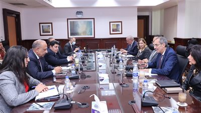 وزيرا قطاع الأعمال والاتصالات يبحثان تعزيز التعاون في التحول الرقمي