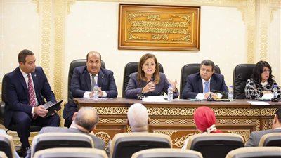 التخطيط: الصندوق السيادي يخطط لتكوين مركزا إقليميا للطاقة المتجددة ولتصدير الوقود الأخضر