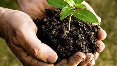  لا تحتاج إلى رأس مال.. مشاريع تجارية هتخليك من الأثرياء 