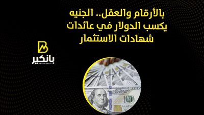 بالأرقام والعقل.. الجنيه يكسب الدولار في عائدات شهادات الاستثمار