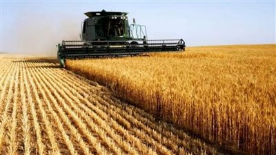 بداية من غداً الأحد.. البورصة المصرية للسلع: تداول القمح الروسي كأول سلعة متداولة