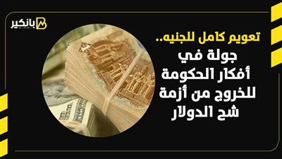  تعويم كامل للجنيه.. جولة في أفكار الحكومة للخروج من أزمة شح الدولار 