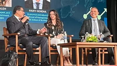 هشام عز العرب: لابد من تشديد السياستين المالية والنقدية للخروج من الأزمة الاقتصادية