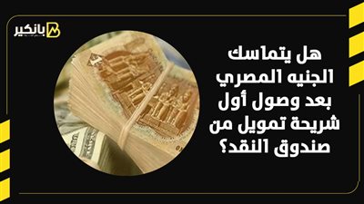 هل يتماسك الجنيه المصري بعد وصول أول شريحة تمويل من صندوق النقد؟ | فيديو 