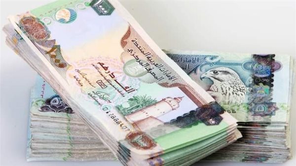 الدرهم الاماراتي