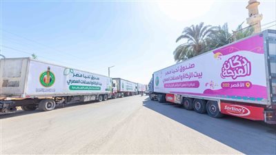 حصاد 2024 لصندوق تحيا مصر.. توسع في المبادرات والقوافل الاستثنائية