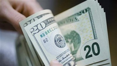 السقوط الكبير.. المركزي يكتب «شهادة وفاة» السوق السوداء للدولار والمضاربين