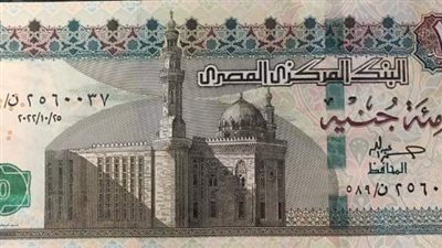 وكالة موديز للتصنيف الإئتماني تتوقع.. الدولار بـ 29 جنيهًا بنهاية يونيو القادم