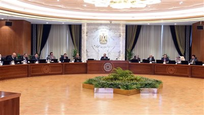 مدبولي: التحرك الفاعل من القيادة السياسية على الصعيد الخارجي يعزز مكانة مصر عربيا وإقليميا