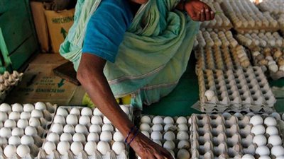 رقم غير مسبوق.. الهند تقترب من  تصدير 50 مليون بيضة خلال شهر يناير