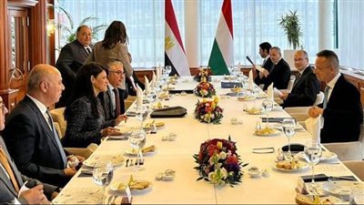 رئيس اقتصادية قناة السويس: تعاون مع مستثمري المجر لتوطين صناعات مستهدفة بالمنطقة الاقتصادية