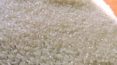 خبير: لا يمكن زراعة الأرز الصيني في الصحراء و