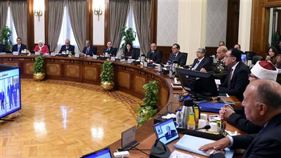 مدبولي: إتاحة المزيد من التيسيرات والمحفزات لجذب الاستثمارات المباشرة وتوفير النقد الأجنبي