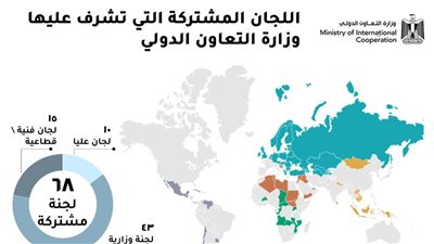 س و ج.. كل ما تريد معرفته عن اللجان المشتركة لتطوير وتنمية علاقات التعاون الثنائي بين مصر والدول الشقيقة
