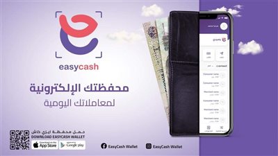 إطلاق «إيزي كاش» للدفع الإلكتروني في السوق المصرية