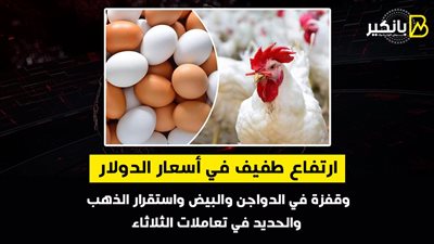 ارتفاع طفيف في أسعار الدولار وقفزة في الدواجن والبيض واستقرار الذهب والحديد في تعاملات الثلاثاء