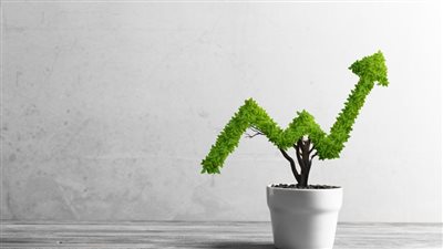 شركات ناشئة تجمع مليار دولار وتوفر 900 وظيفة في الإمارات خلال 2022