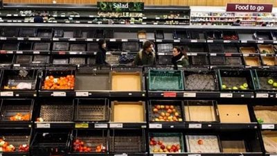 بريطانيا في ورطة.. نقص شديد تعاني منها المتاجر في الفواكه والخضروات