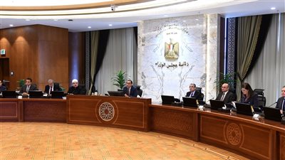 الحكومة: طرح 4 شركات  كبرى من خلال بنوك استثمار دولية