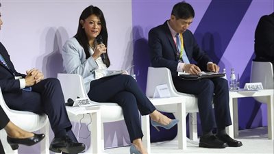 المشاط: مصر أطلقت 